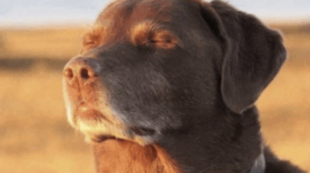 Johnny McGonigal tweet media