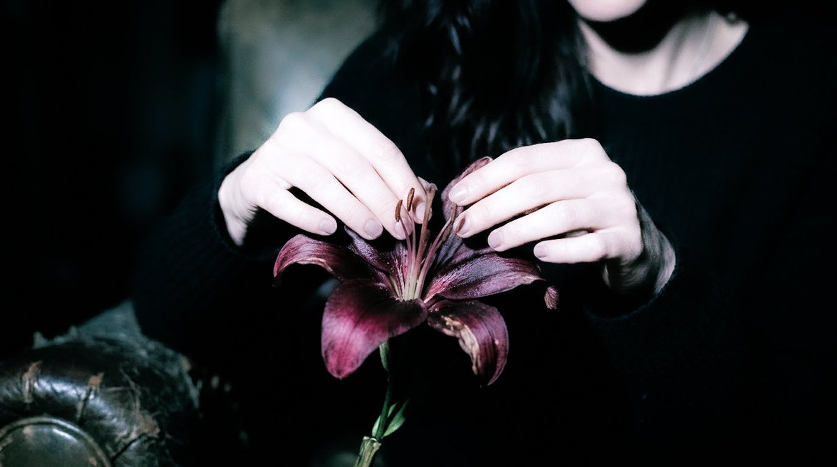 sude acar tweet media