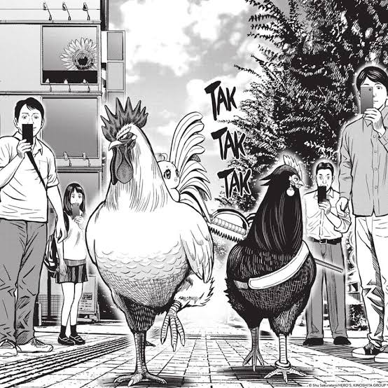 Crypto Nomad tweet media