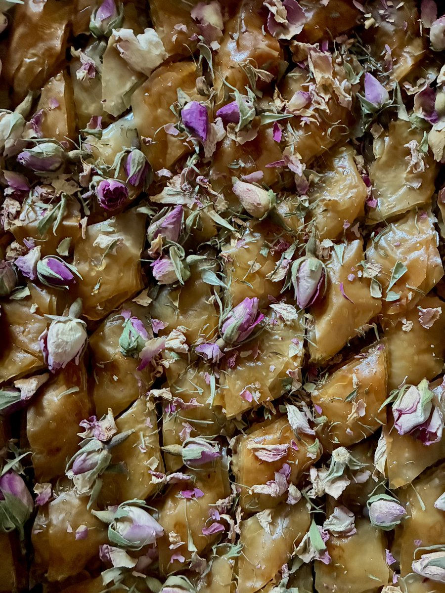 Naida | Inscendence tweet media