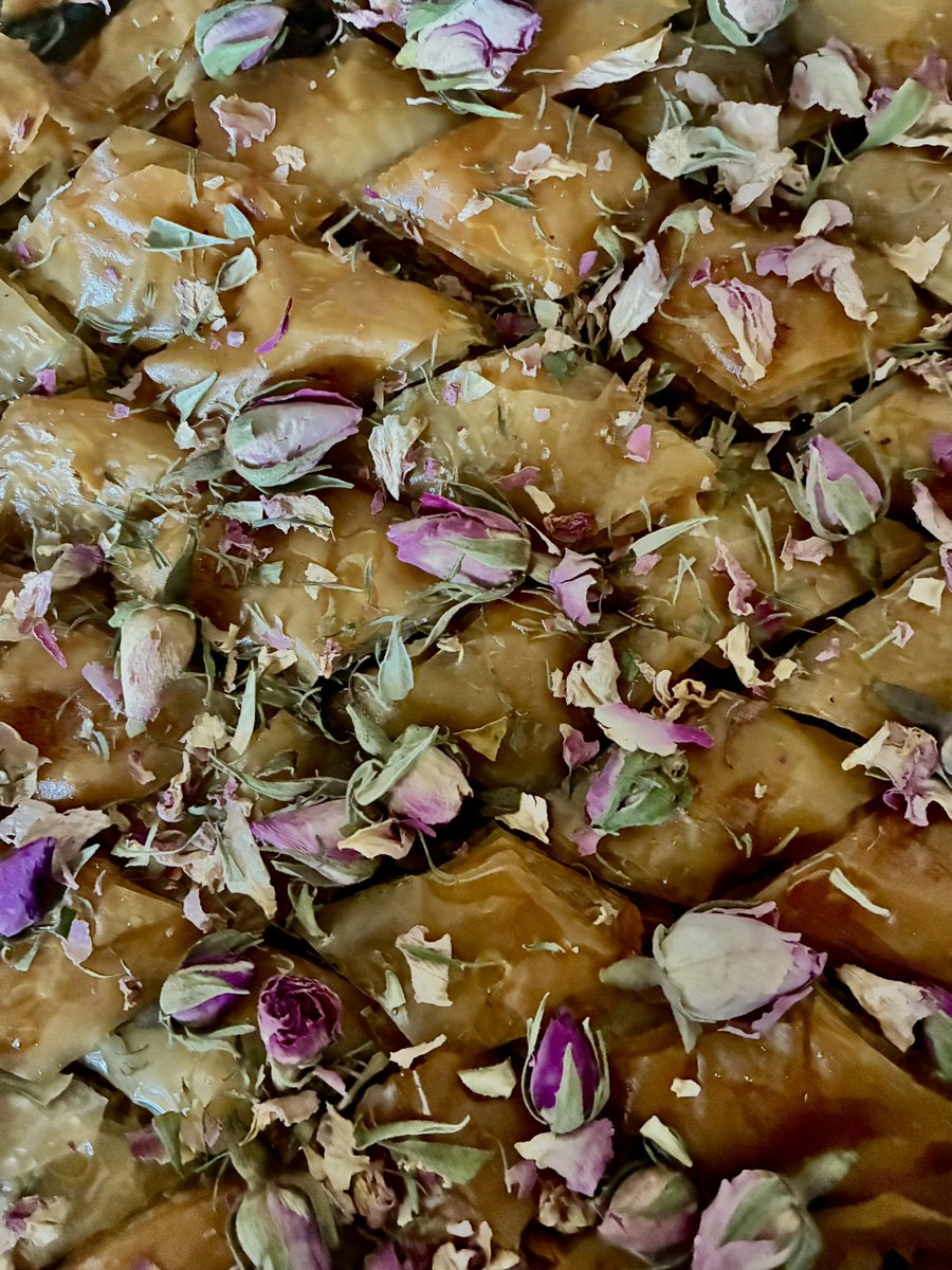 Naida | Inscendence tweet media