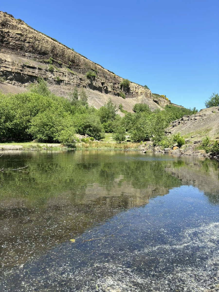 J G 🇬🇧 🦔🦊🐋🐬 tweet media