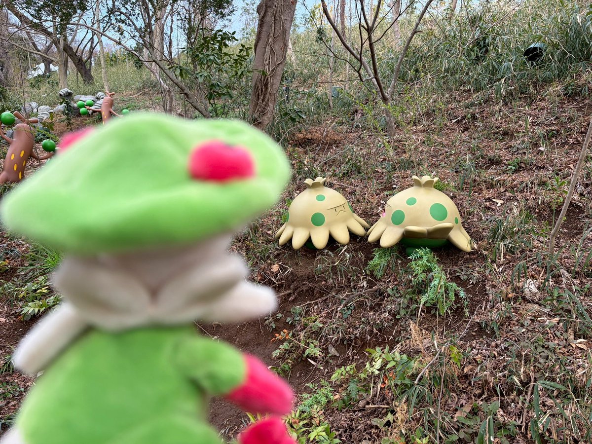 msitik_BS's tweet photo. ポケパーク、程よいボリューム感でめっちゃ楽しかった
ショップで買うグッズの会計14000円超えて(゜o゜;フリーズした https://t.co/MYUlbCi6Zu