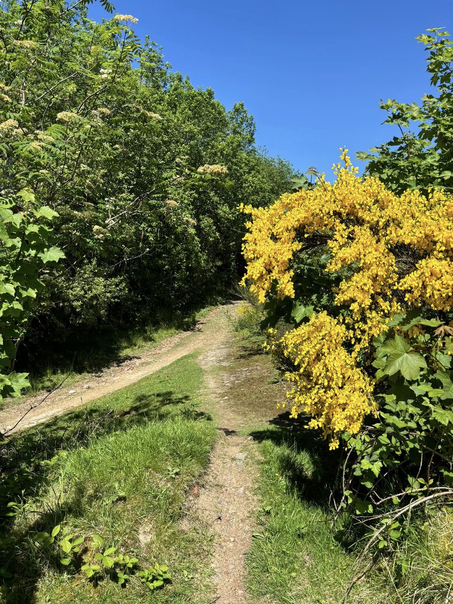 J G 🇬🇧 🦔🦊🐋🐬 tweet media