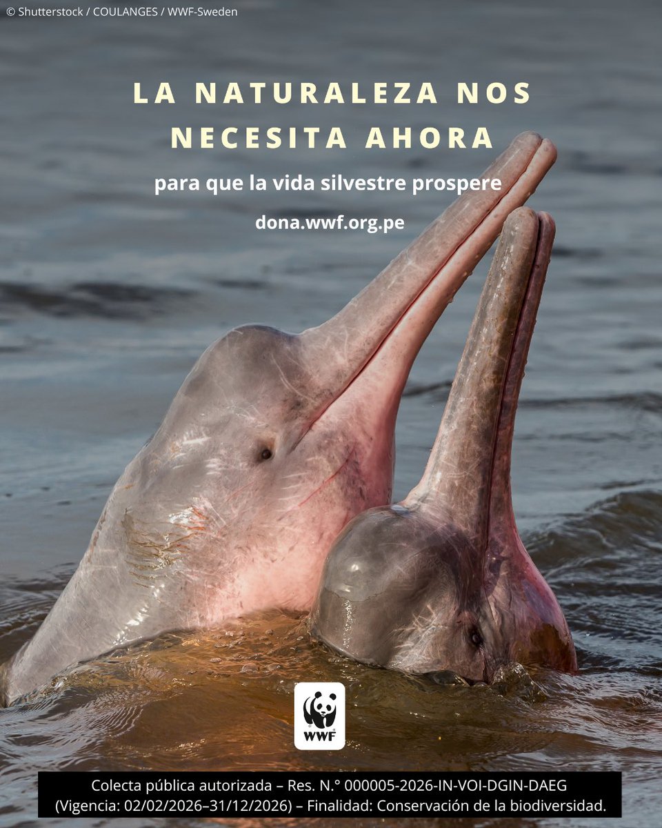 WWF Perú tweet media