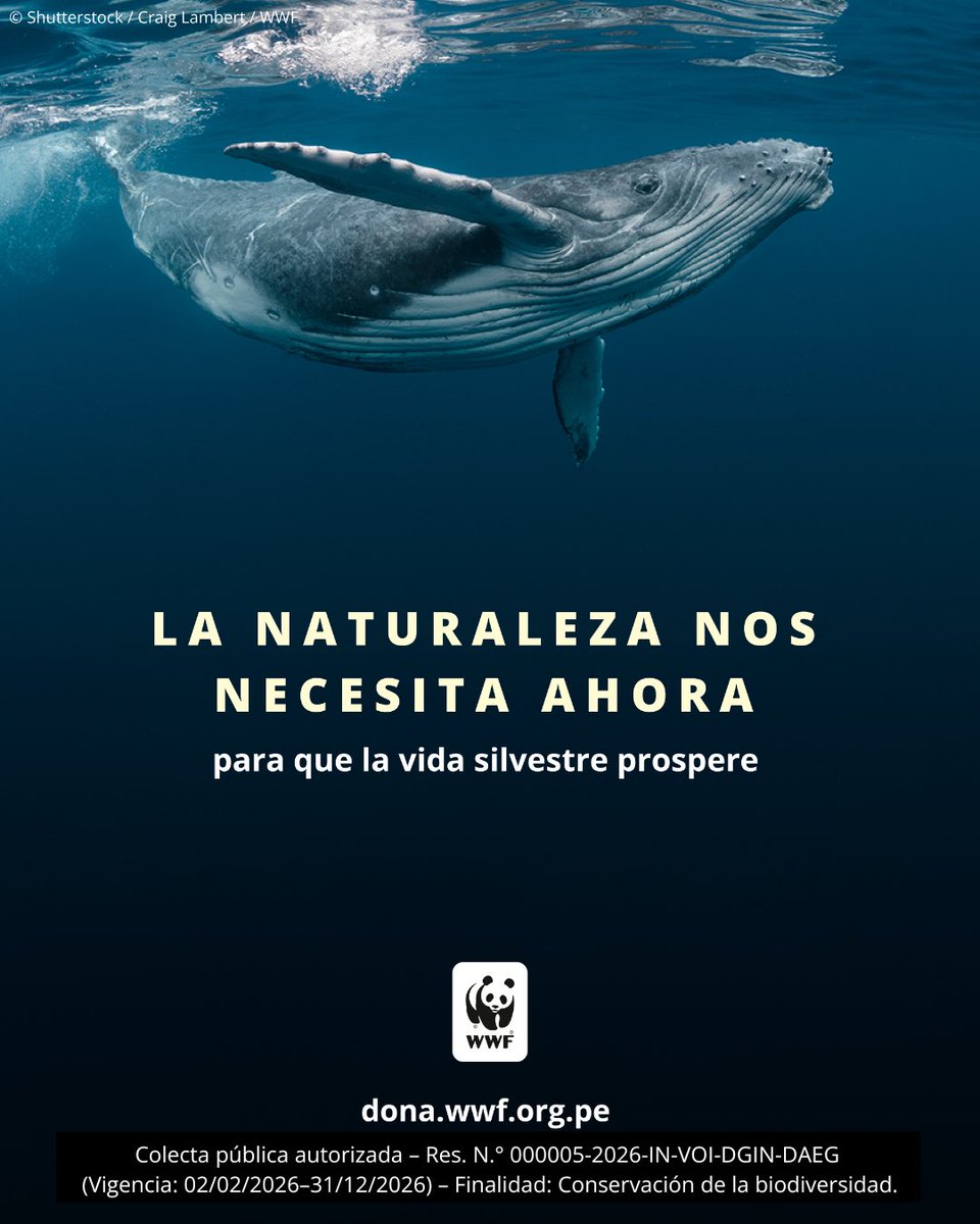 WWF Perú tweet media