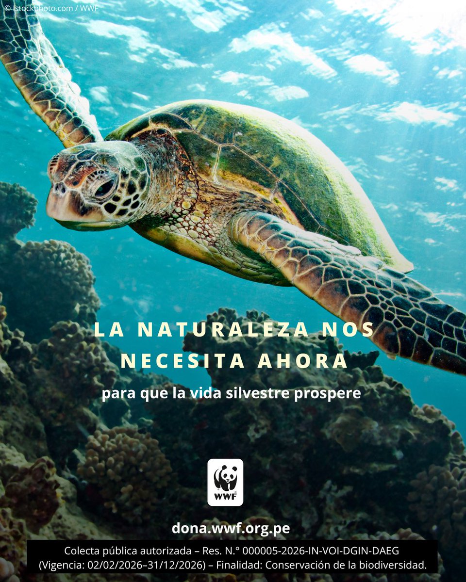 WWF Perú tweet media