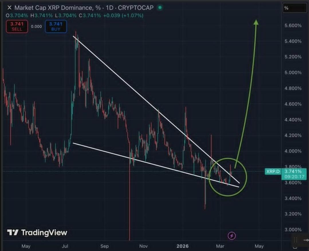 Hailey LUNC XRP tweet media
