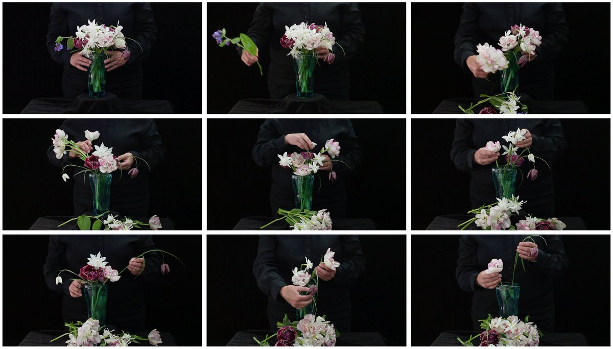 Plug In ICA tweet media