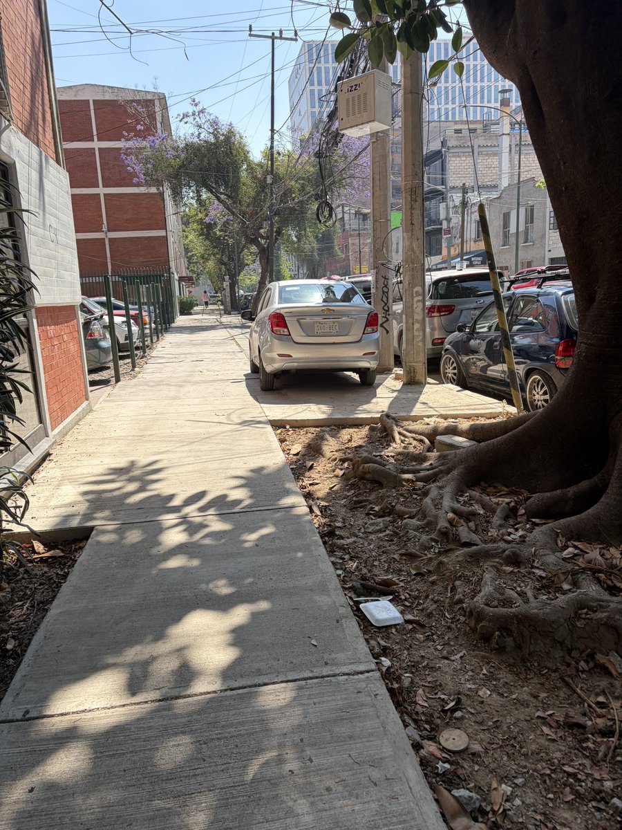 Reportandocdmx👀 tweet media