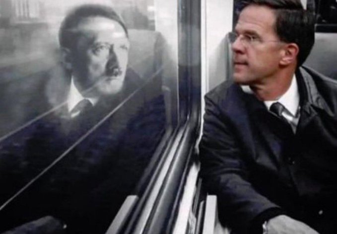 The Nightly Observer tweet media