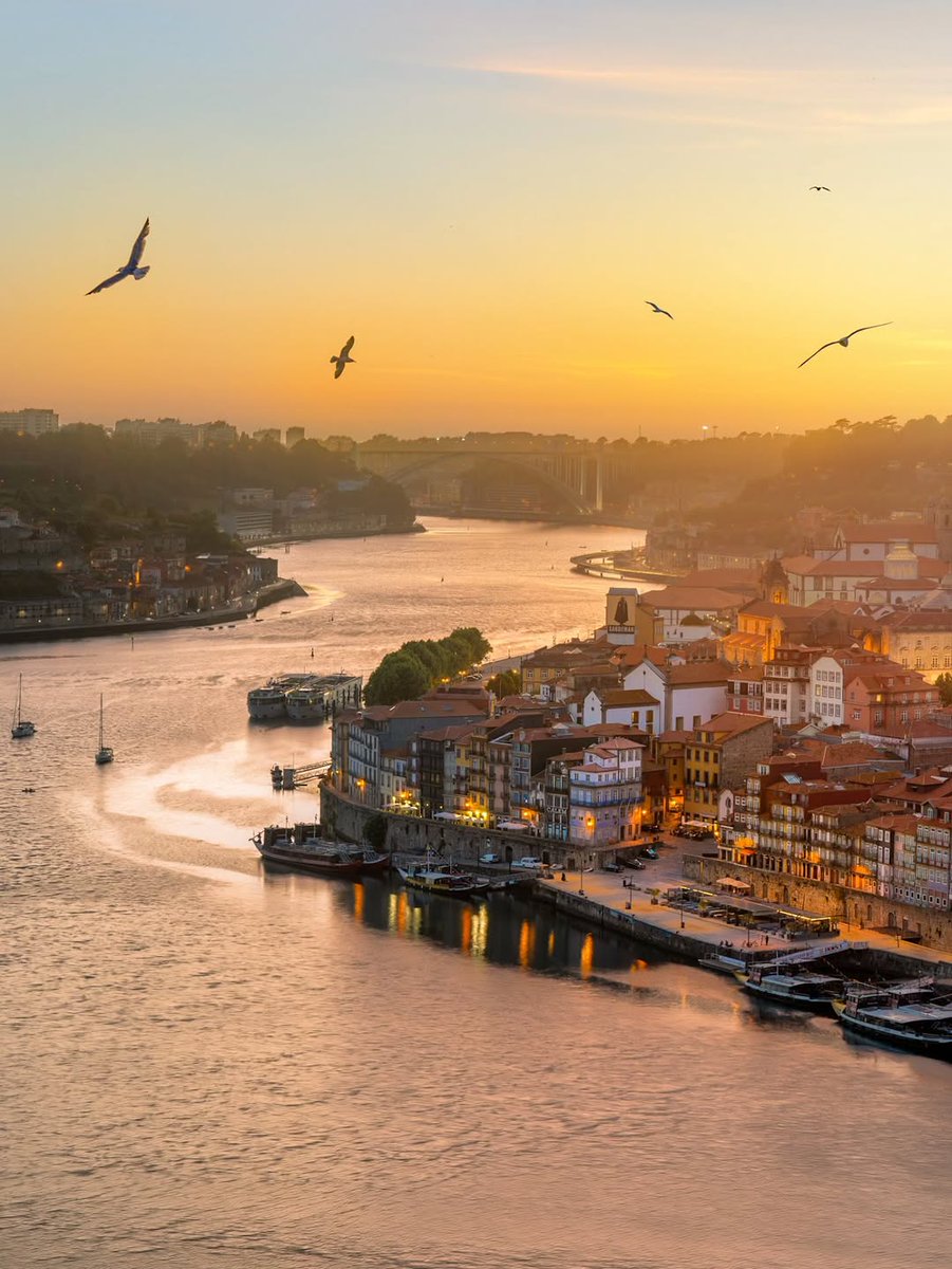 Beauty Explorer tweet media