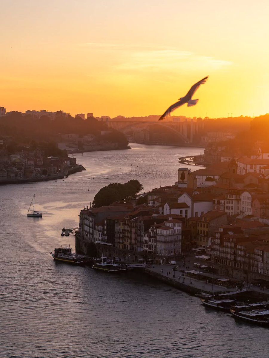 Beauty Explorer tweet media