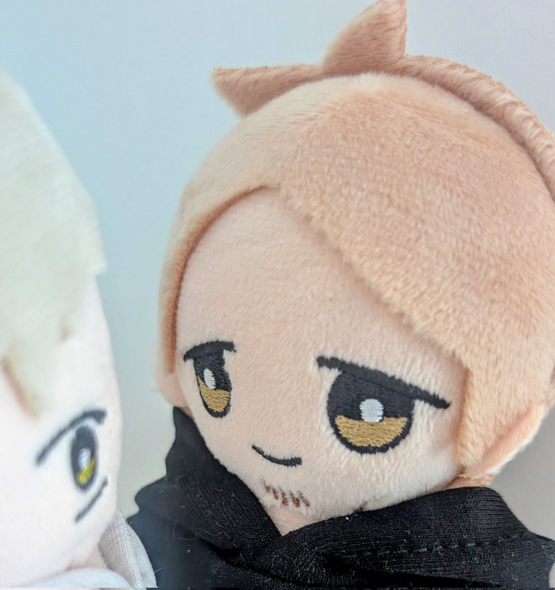 aino | 🍁🌸 tweet media