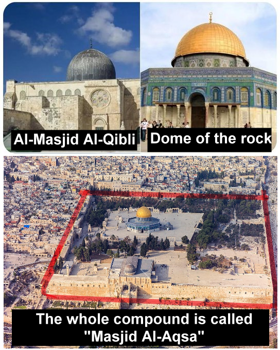 Studio MarLin tweet media