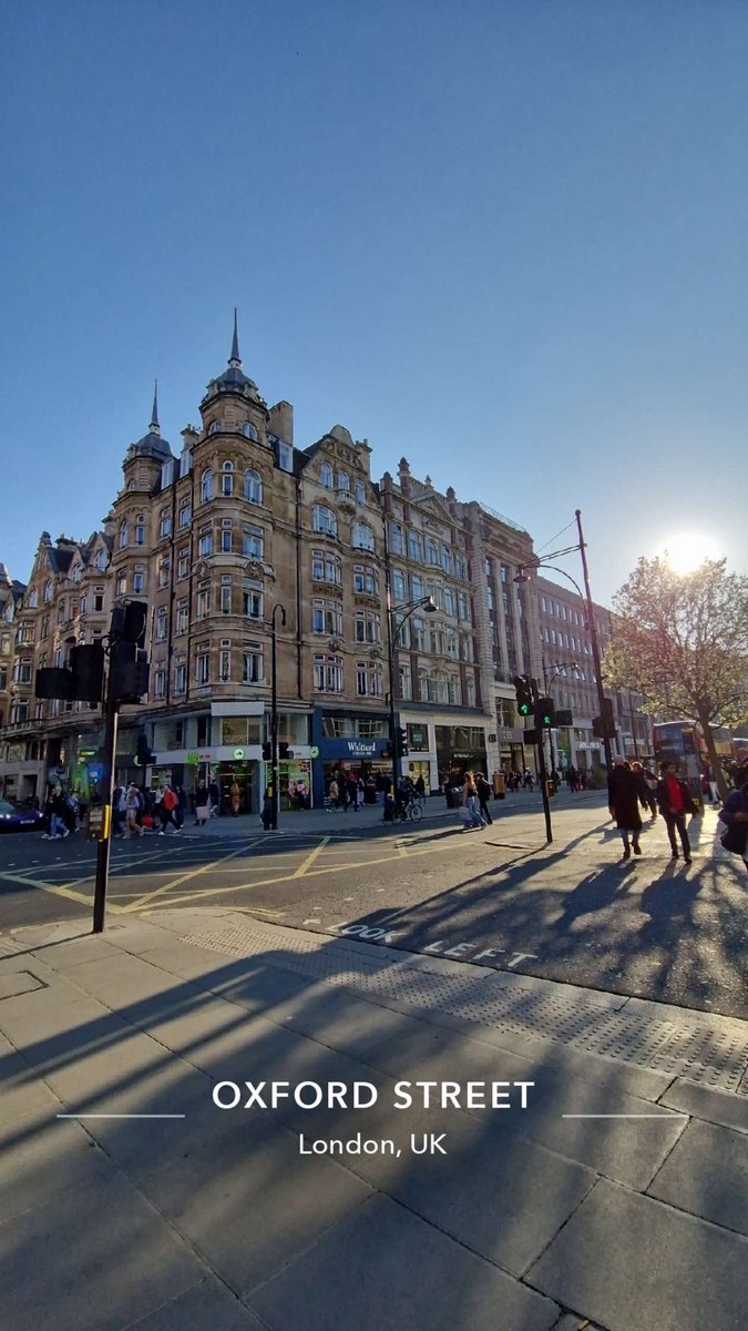 bears 🐻 tweet media