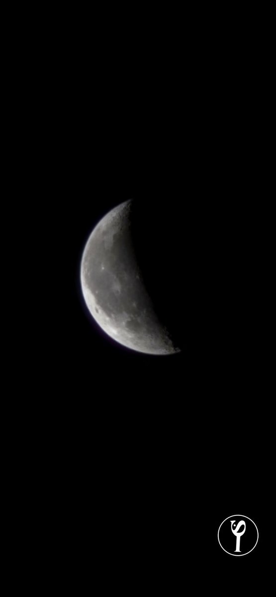 fuzzmustang tweet media