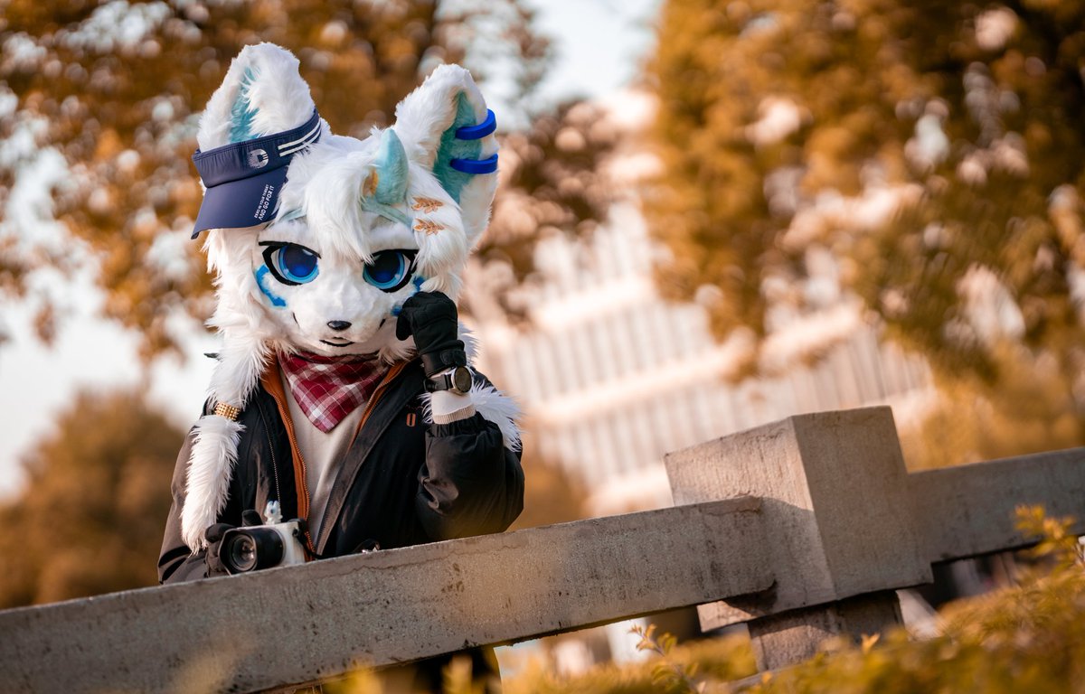 Cold（克洛） tweet media