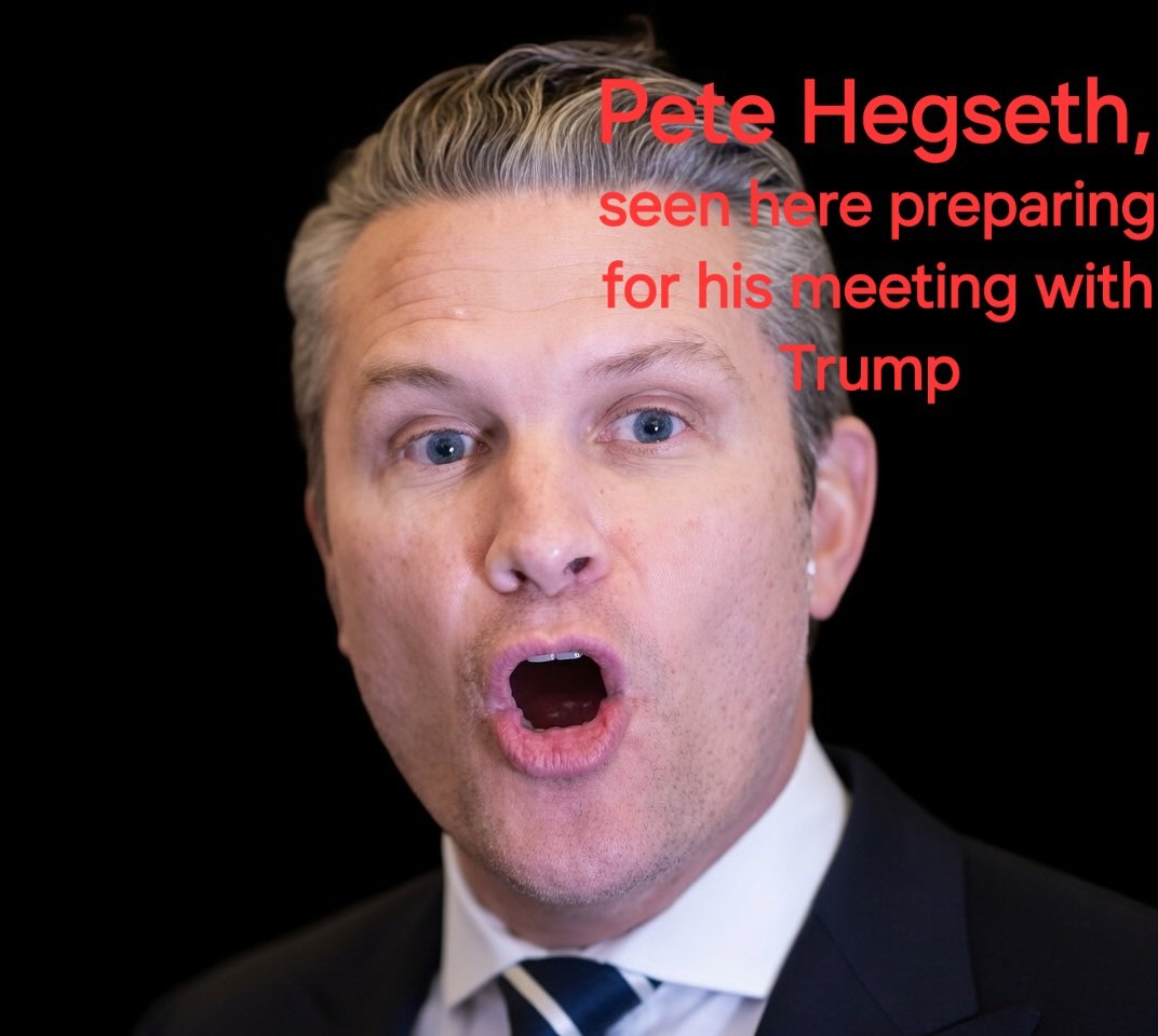 Harry Ford tweet media