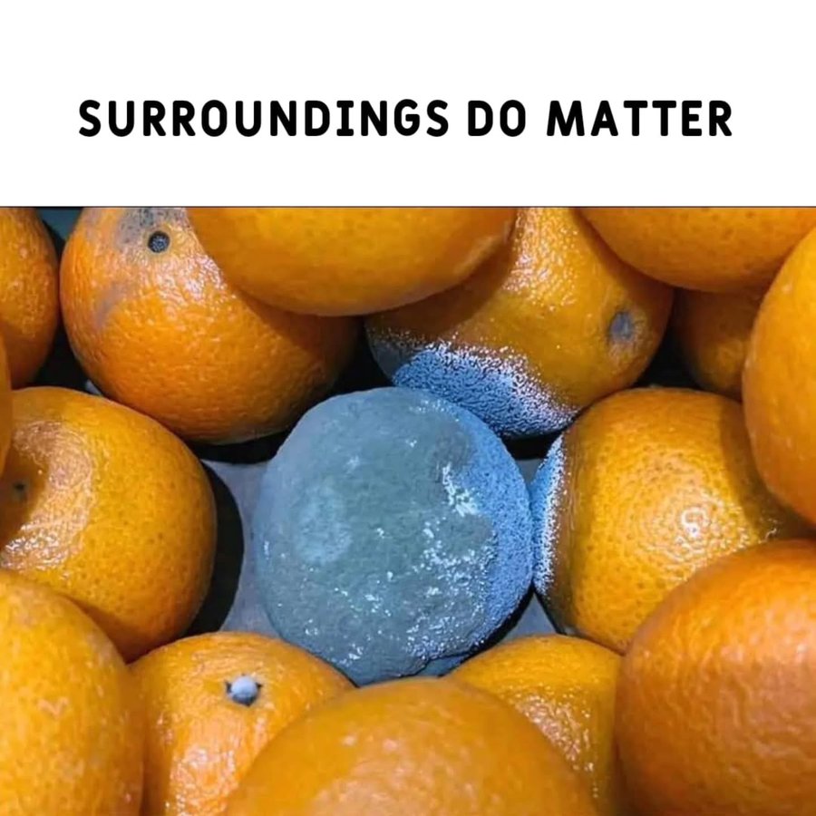 ₿itcoin∞₿ull.HODL.⚡ ∞/21M tweet media