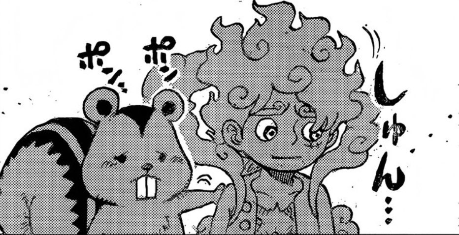 🏴‍☠️ tweet media