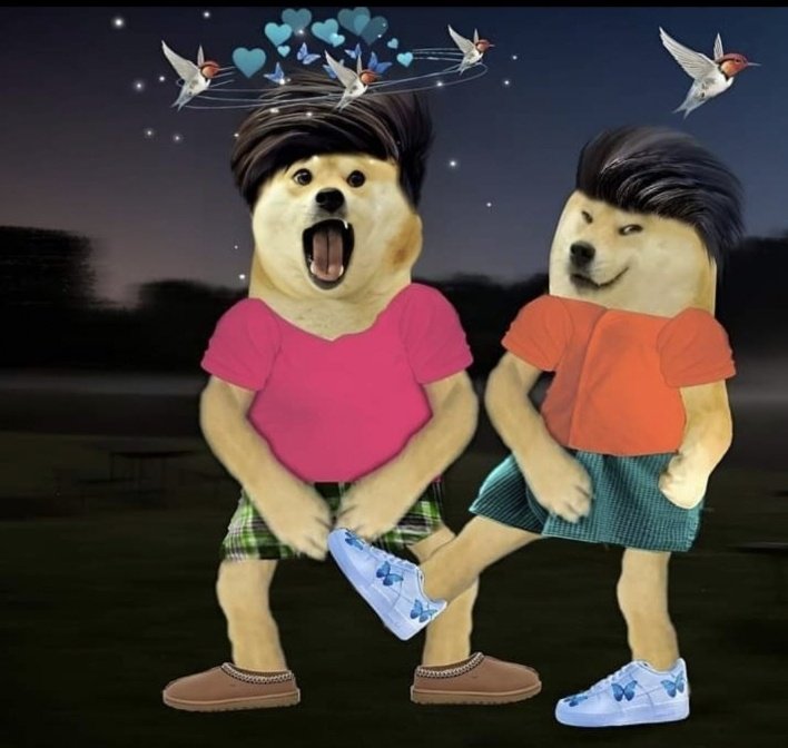 ajaysai kennedy tweet media