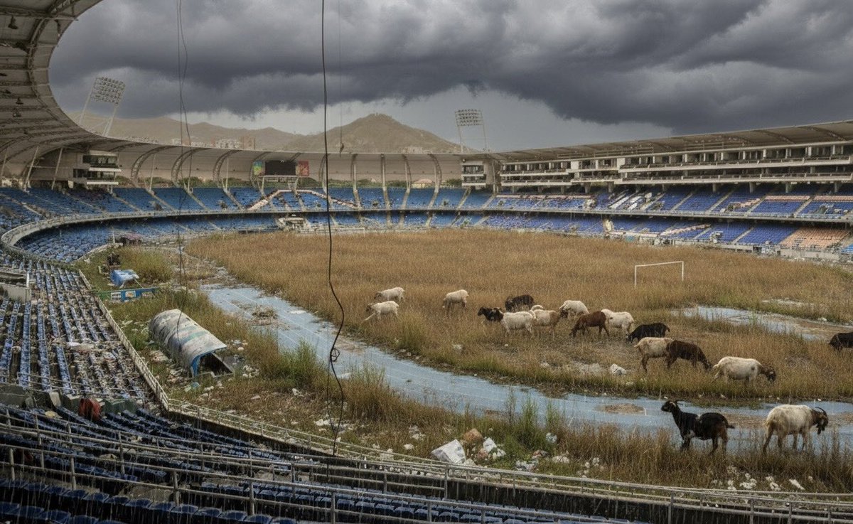 Socrvtes Rvdicvl💀🇳🇬 tweet media