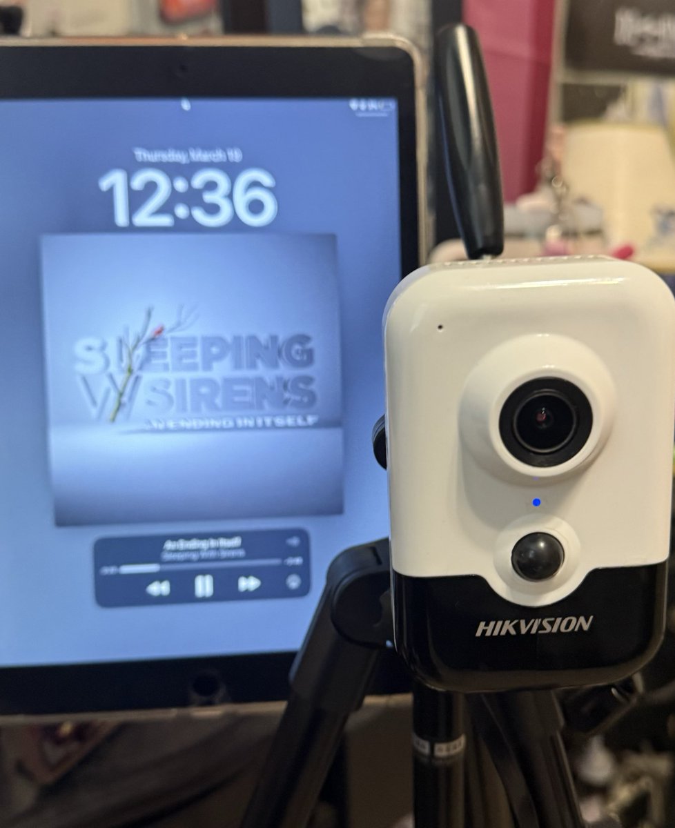 M☆RGAN tweet media