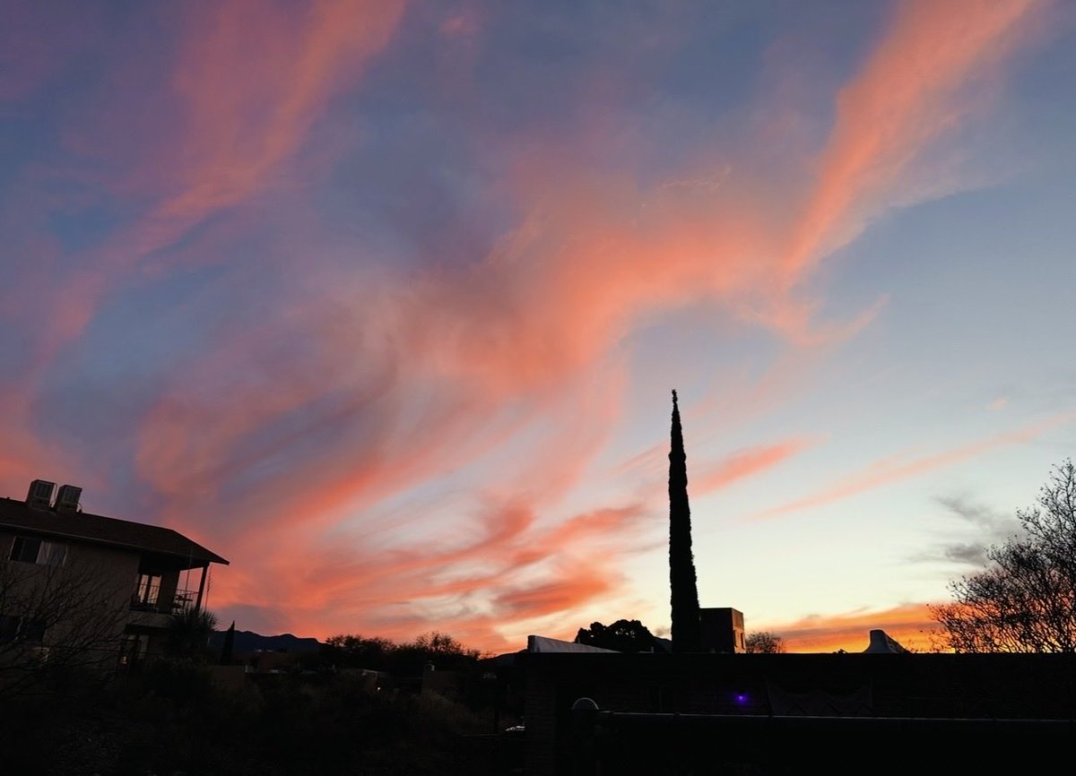 roxuly's tweet image. Photo dump/Throwbacks 
Hanging out in the ☀️#shadow
Pink &amp;amp; blue skies, it’s giving me Dr. Seuss vibes 🌸🦋
Relaxation &amp;amp; peaceful 😌😮‍💨#takingiteasy
Surprise flowers 💐 &amp;amp; Starbucks ☕️ 🫶🏼 #makingmydaybetter