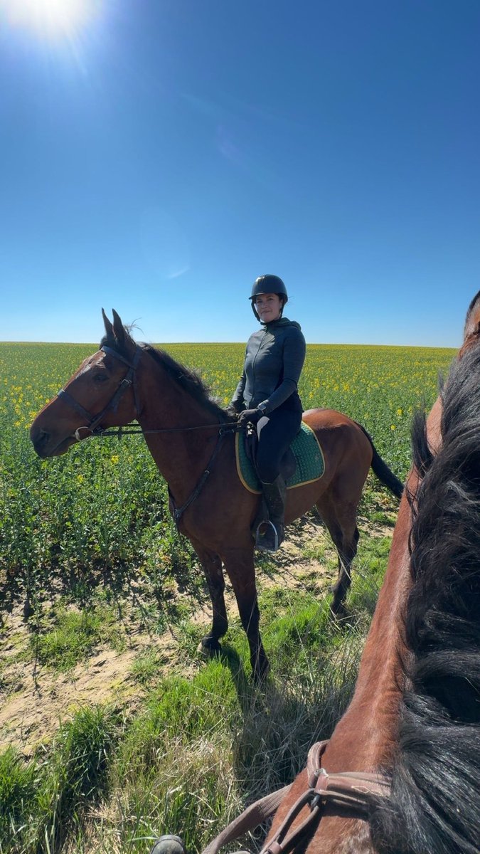 B L A N C H E tweet media