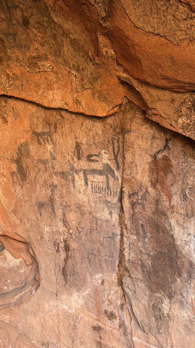 принцесса сиеста tweet media