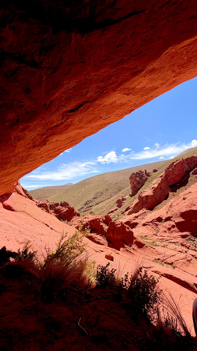 принцесса сиеста tweet media