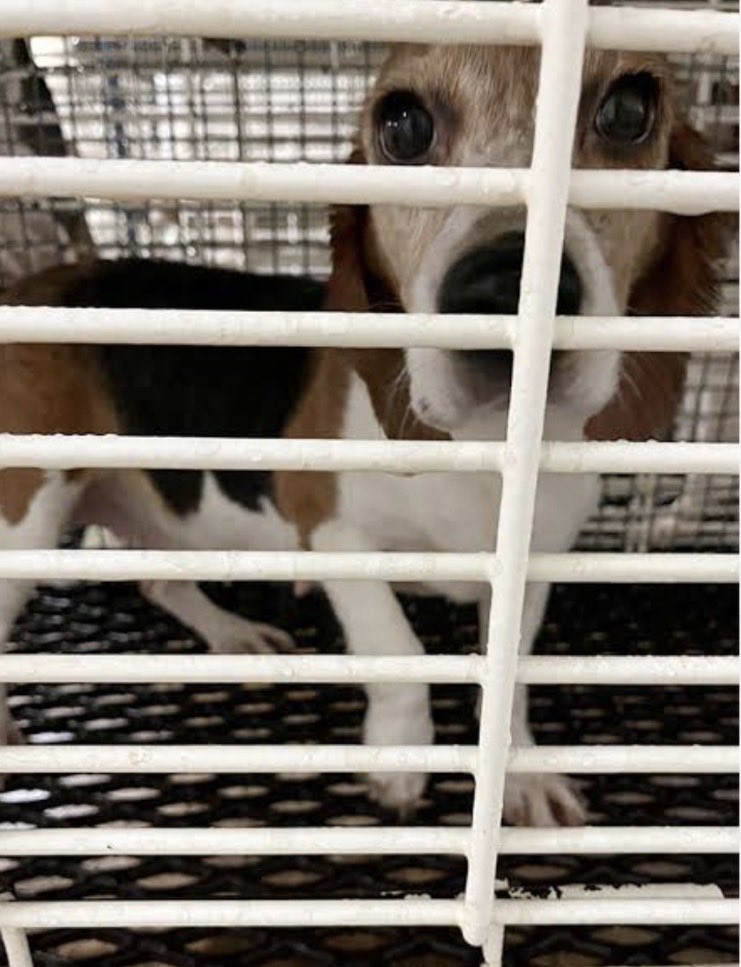 NothingIsArt tweet media