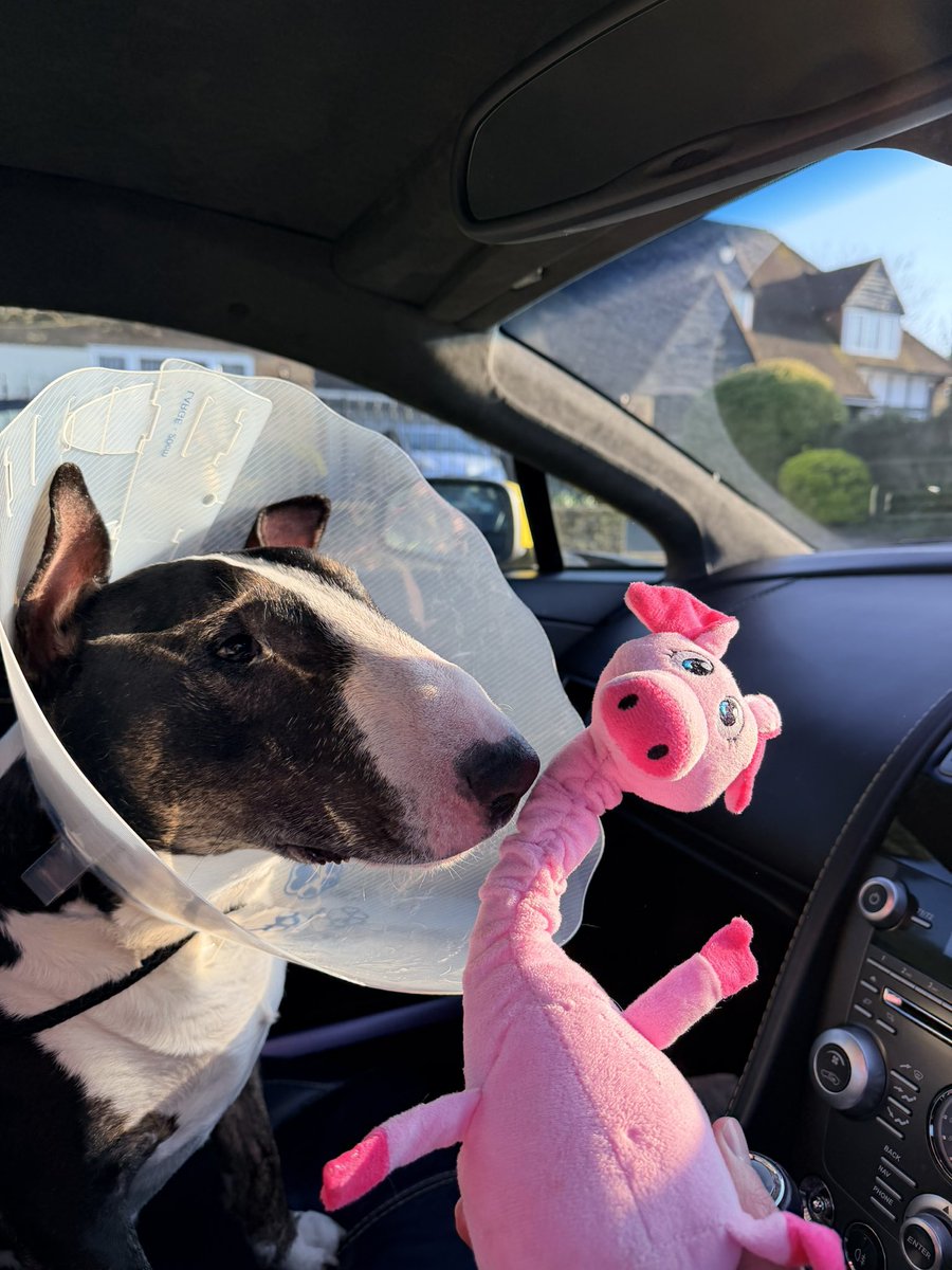 LUDEN Automotive tweet media