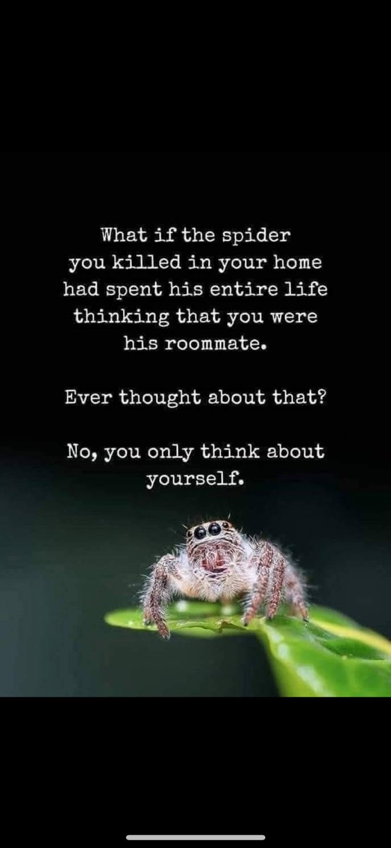 Joy Jones tweet media