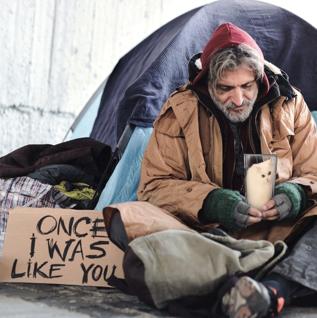 Kitty Cup $KCUP tweet media