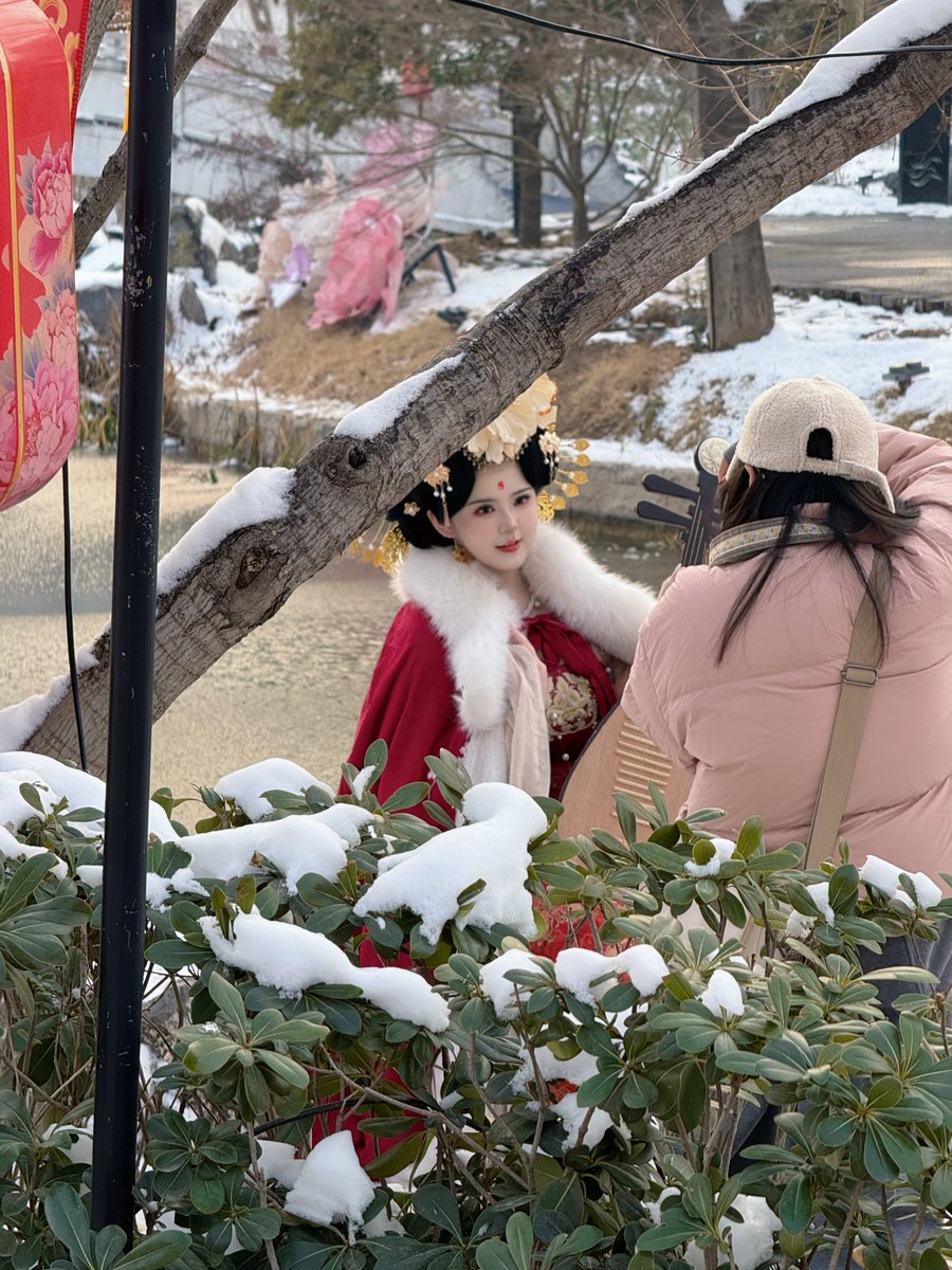 一颗圆润的桃桃 tweet media