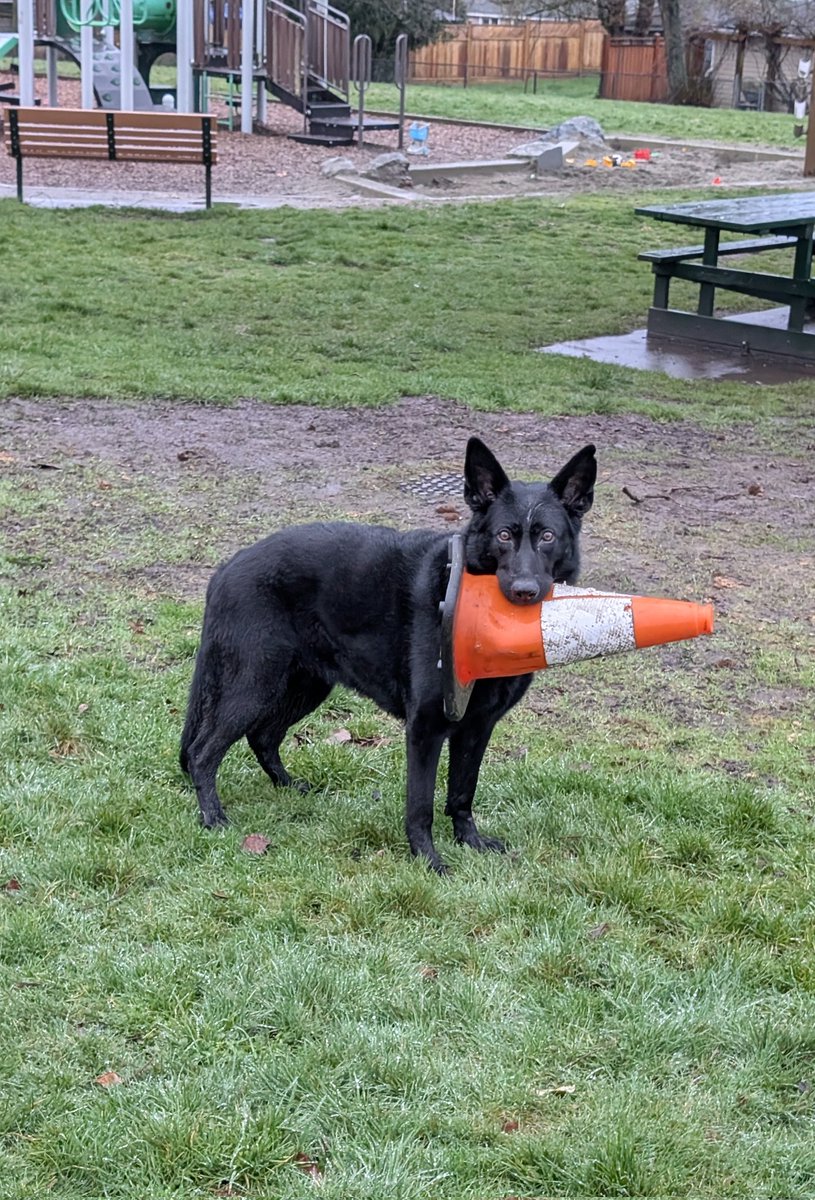 ⒼⒻ Friends call me Ⓖ tweet media