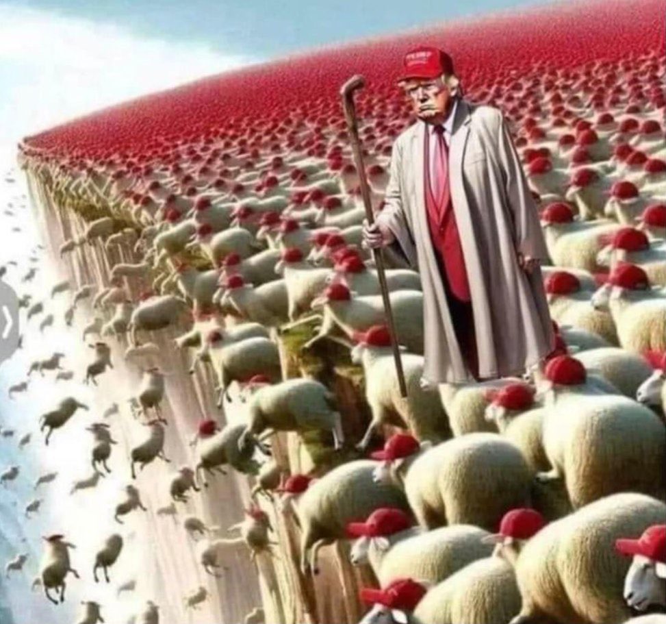 Rain ☔️ tweet media