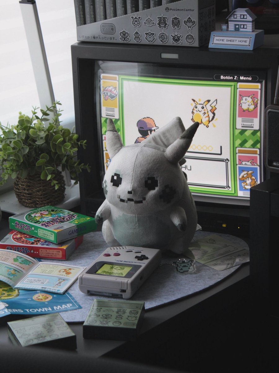 corymidori🌱 tweet media