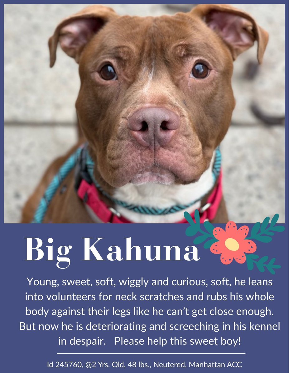 Not the Same tweet media