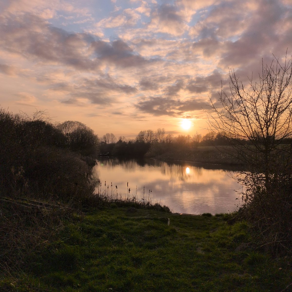 carper. matty.. tweet media