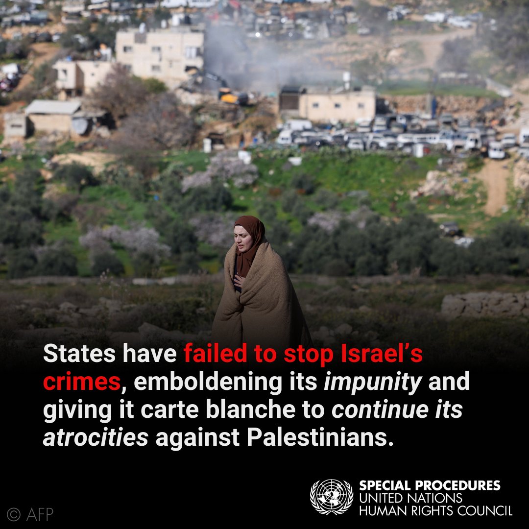 UN Special Procedures tweet media