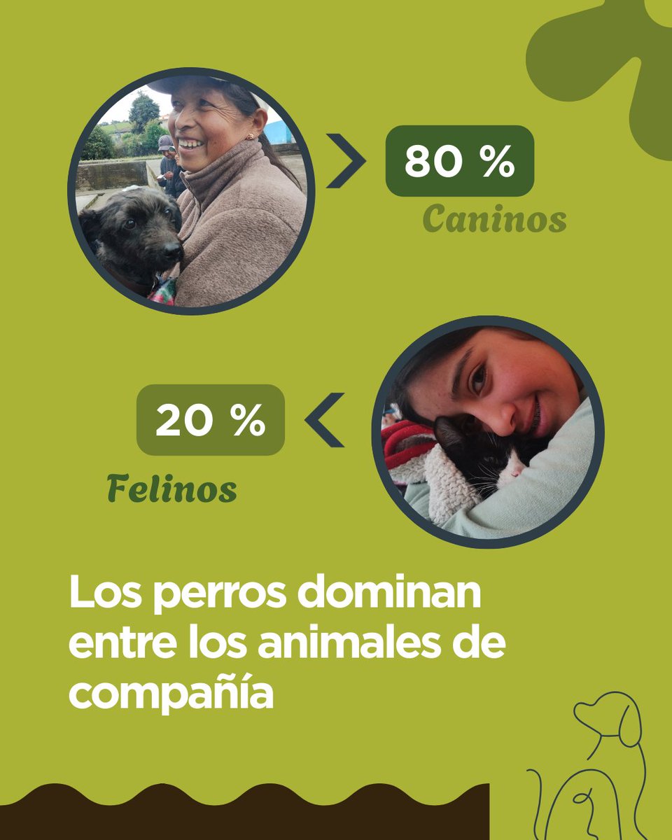 Terranimal Ecuador tweet media