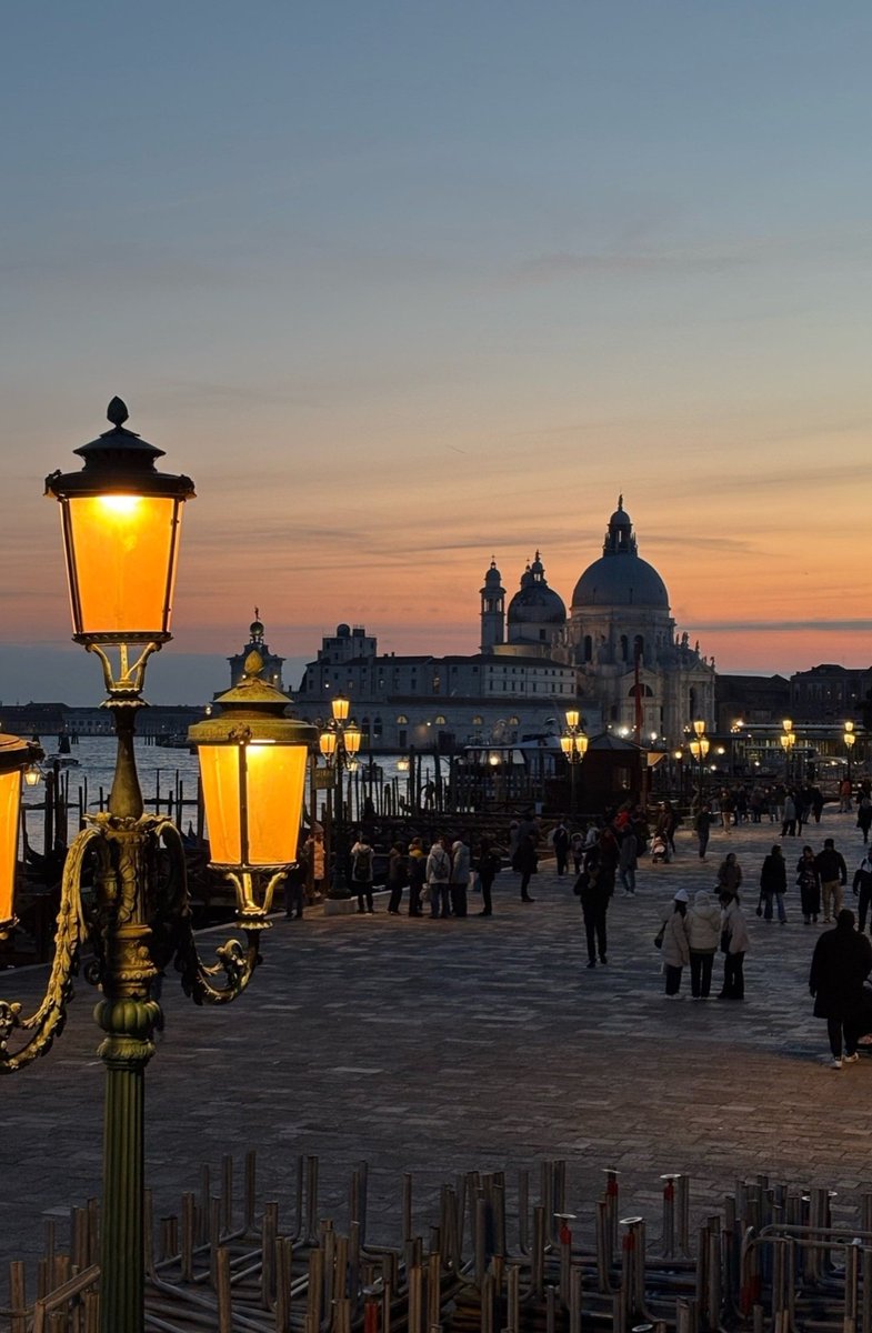 Monica 🍀⚘️🌍📚🐞🎧 tweet media