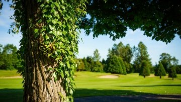 Vancouver Parks Golf tweet media