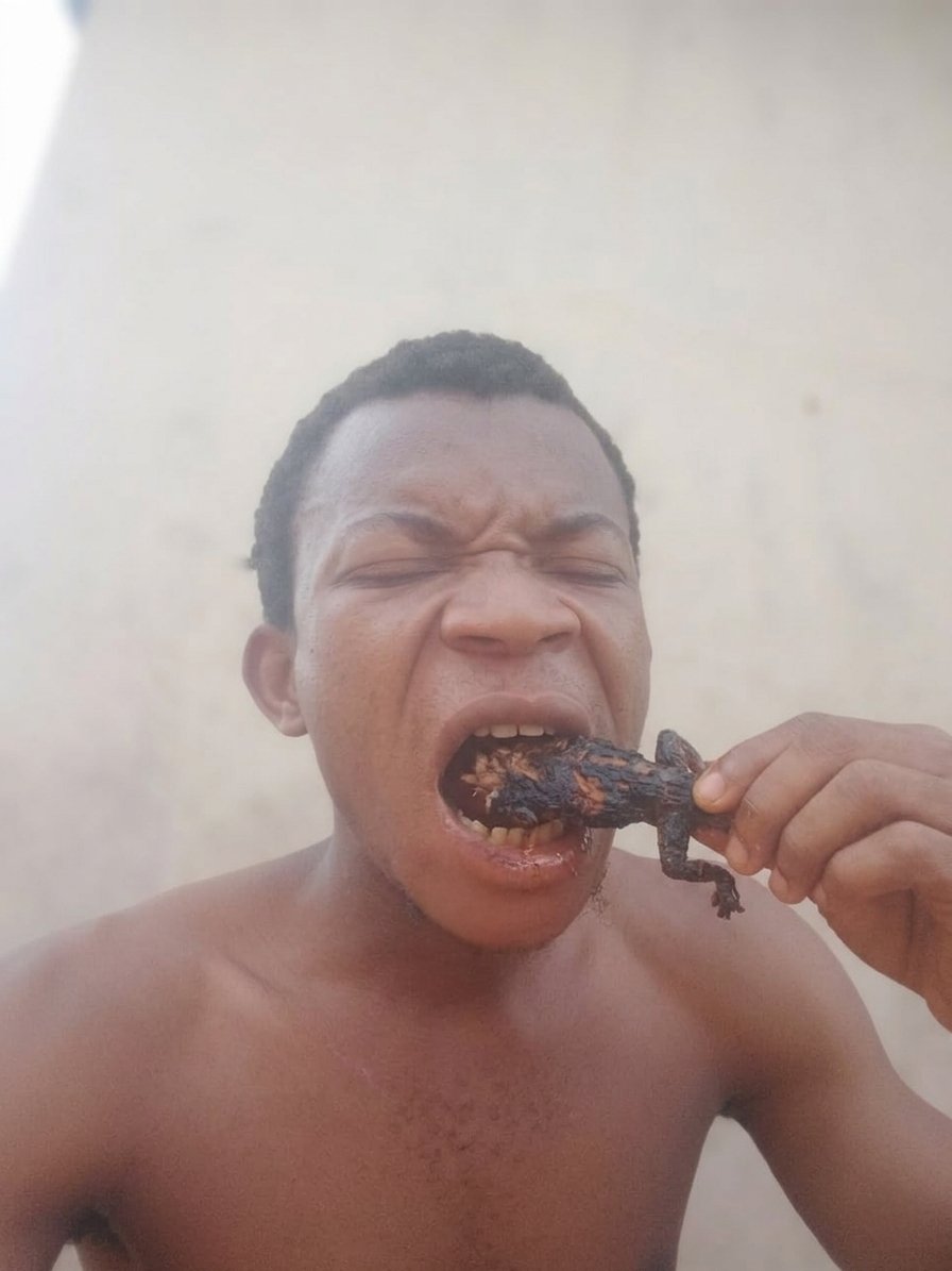 ℙ𝕒𝕤𝕔𝕙𝕒𝕝✭ tweet media