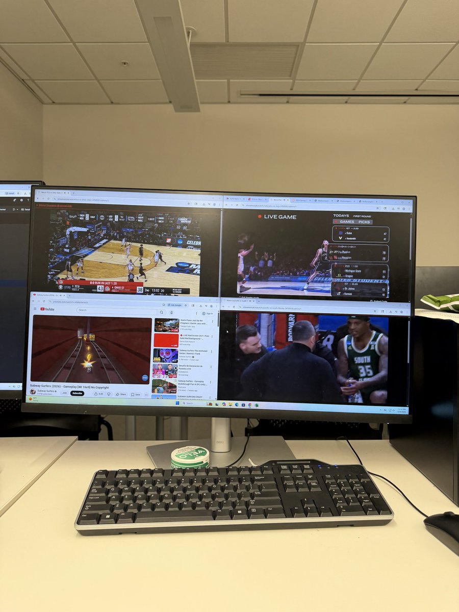 Tortoiseshell Costas tweet media