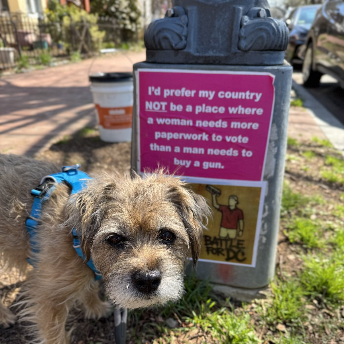 Topa Topa tweet media