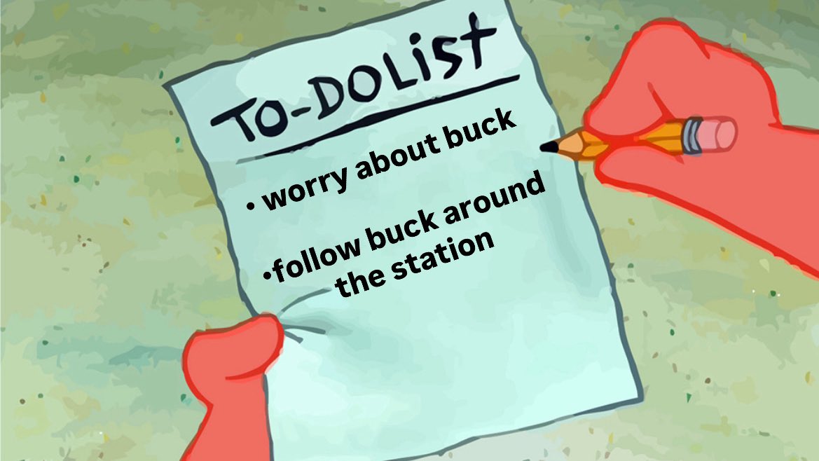 ceo of evan buckley tweet media